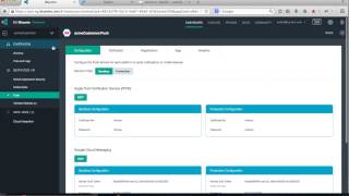 Bluemix Mobile Application and Cloud Integration Demo [upl. by Yeleen]