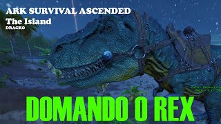 ARK SURVIVAL ASCENDED  The Island  21  Vamos aprender a domar um REX [upl. by Banks857]