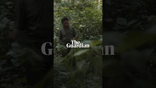 The whistled language of Northern Laos  Birdsong [upl. by Ziwot]