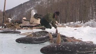 Будет рыба Михалыч Зимняя рыбалка в Прибайкалье [upl. by Sinnal]