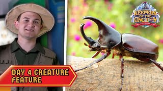 The Ironclad Beetle  Keepers of the Kingdom VBS Day 4 Creature Feature [upl. by Portingale]