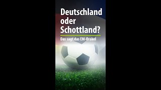 Deutschland oder Schottland Wir fragten das Balinger EMOrakel [upl. by Yaakov]