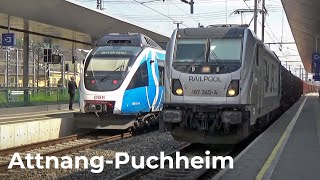 Osterreichisch Züge Vlog 88  AttnangPuchheim Bahnhof 07062023 [upl. by Iliak]