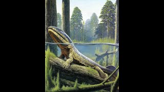 Eogyrinus Giant Carboniferous Amphibian [upl. by Yrruc956]