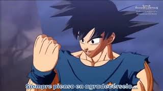 Dragon Ball Heroes  Capitulo 53 Completo  Sub Español HD [upl. by Alrac]