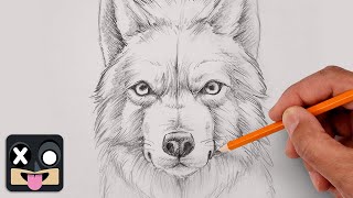 How To Draw an Arctic Wolf  Sketch Tutorial [upl. by Renfred]