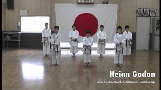 Japan Karatedo Hayashiha Shitoryukai  Shorinkan Dojo  Video 1 [upl. by Ocirema]