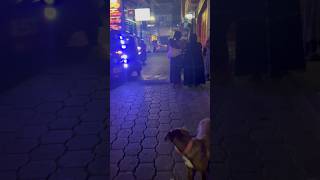 Guatemala best nightlife Atitlán 🇬🇹 travel travelvlog trendingshorts trend guatemala vlog [upl. by Aicemat147]