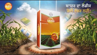 Weeds in Corn ਲੌਡਿਸ Laudis Herbicide  Bayer Crop Science India [upl. by Naman]