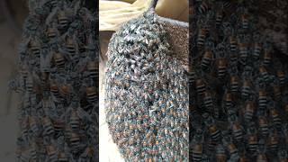 Small beehive beehive nature shortvideo youtubeshorts [upl. by Ycal]