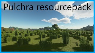 Pulchra Resourcepack [upl. by Weir]