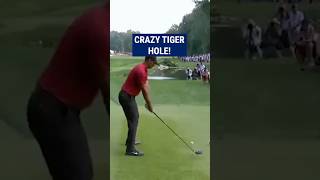 Tiger Woods INCREDIBLE recovery😱 [upl. by Tiffy]