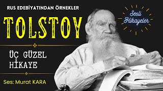 Tolstoy  Seçilmiş Hikayeler  Rus Edebiyatından Sesli Kitaplar [upl. by Htebazle809]