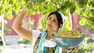 28 Country Woman Harvesting Apricot And Making Persian Apricot Jam💛Daily Routine Life IRAN Village [upl. by Asilla]