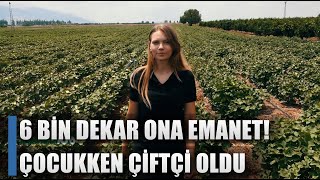 Çocukken Çiftçi Oldu 26 Yaşında 6 Bin Dekar Tarla Ona Emanet  Farmer100 [upl. by Nivlad]