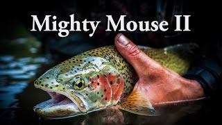 Alaska Mouse Fishing  Mighty Mouse II [upl. by Branca]