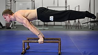 How To Planche  Beginner Tutorial [upl. by Enelec]