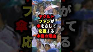 ヤクルトファンが傘を差して応援する本当の理由 プロ野球 shorts [upl. by Eelyrehc]