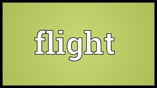 Flight Meaning [upl. by Efeek93]