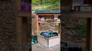 Drinks station at Forest 😱 germanvillagelifeshortscultureshockyoutubeshortskannadavlogs [upl. by Haidej]