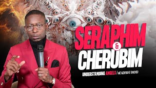 The difference between Cherubim and Seraphim  Miz Mzwakhe Tancredi [upl. by Enyamart]