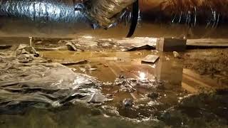 The Truth About Installing A Sump Pump Inside A Crawl Space Homeowners Be Warned [upl. by Roman]