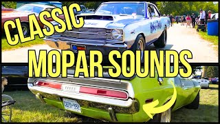 muscle car sound [upl. by Akirehs769]