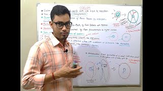 Coelom Types and Formation [upl. by Haydon]