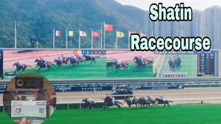 May the horse be with us🐴🤸‍♀️😹  Sha Tin Racecourse [upl. by Leirad709]