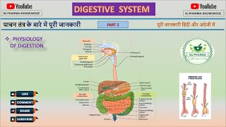 Digestive system lecture 5  biology  human anatomy and physiology  physiology of digestion [upl. by Silvers115]