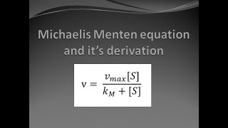 Michaelis Menten equation  Derivation of Michaelis Menten Equation [upl. by Apgar]