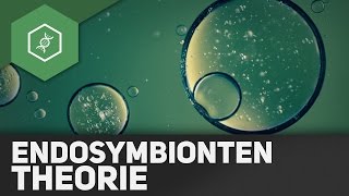 Endosymbiontentheorie [upl. by Enilorac]