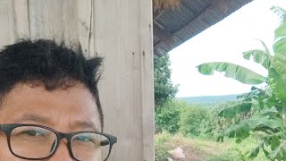 Daeng Barongko is live di Kampung [upl. by Navarro]