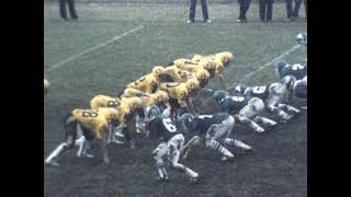 10101982 Hinsdale South 3 vs Morton West 0 Varsity High School Football [upl. by Teplica]