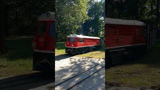 EA01 am einfahren beim Hauptbahnhof an der Gläsernen Manufaktur bei der Dresdner Parkeisenbahn [upl. by Natye]