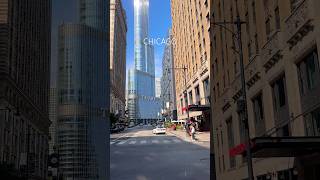 CHICAGO 🇺🇸 usa illinois chicagoland usashorts chitown travel chicago usatravel usashorts [upl. by Aramot239]