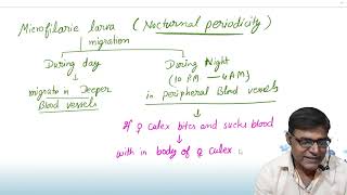 Life cycle of Filarial worm [upl. by Nylisoj]