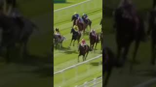 0335 CURRAGH 20240915 favourite esy esy won BRADSELL 2to1💰💰💰💵🤑💵🤑💵🤑💵 [upl. by Zirtaeb426]