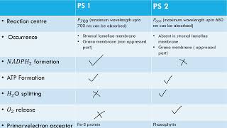 difference between photosystem 1 and photosystem 2 [upl. by Johnny]