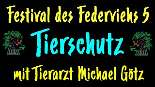 Tierschutz amp Rassegeflügel Liebespaar oder Kontrahenten [upl. by Fidel]