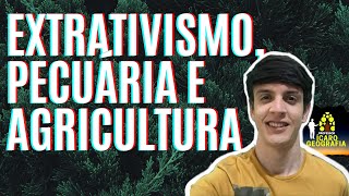 SETOR PRIMÁRIO  AGRICULTURA PECUÁRIA EXTRATIVISMO VEGETAL ANIMAL E MINERAL NO BRASIL [upl. by Akemal]