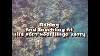 Snorkelling at Port Noarlunga Jetty [upl. by Gawain571]