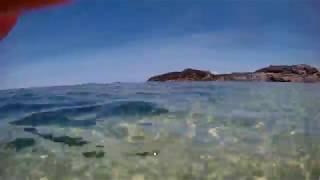 Harlyn Bay Snorkeling near Padstow Cornwall UK [upl. by Eirdua]