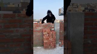 Karishma ki chij gorilla ne Le li 😟🦍 short shortfeed comedyshort [upl. by Arag815]