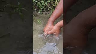 Best Fishing Video fishing fish [upl. by Llehsem]