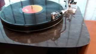 Rega R200 Grace F10 Custom DIY Turntable [upl. by Arraeis]