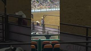 Ft Worth Tx Rodeo [upl. by Nosdivad]