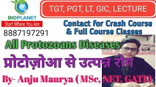 Protozoans Disease ll TGT PGT LT GIC LECTURER II By Anju Maurya ll [upl. by Naffets]