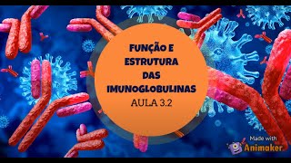 imunologia 32 Função e estrutura das imunoglobulinas [upl. by Haiasi]