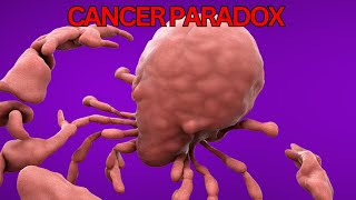 Why Blue Whales Dont Get Cancer Petos Paradox [upl. by Loux]